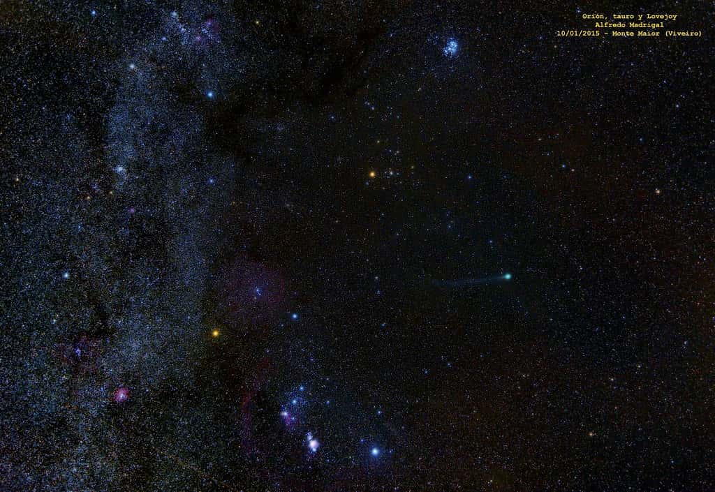 O universo de Fredo