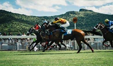 Afternoon Flat Racing Meeting