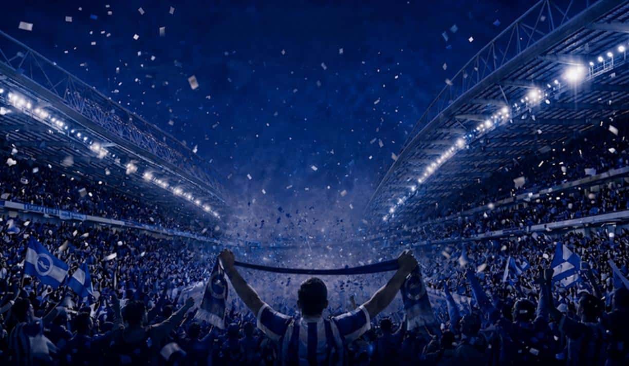 Stand or Fall - The Fall and Rise of Brighton and Hove Albion