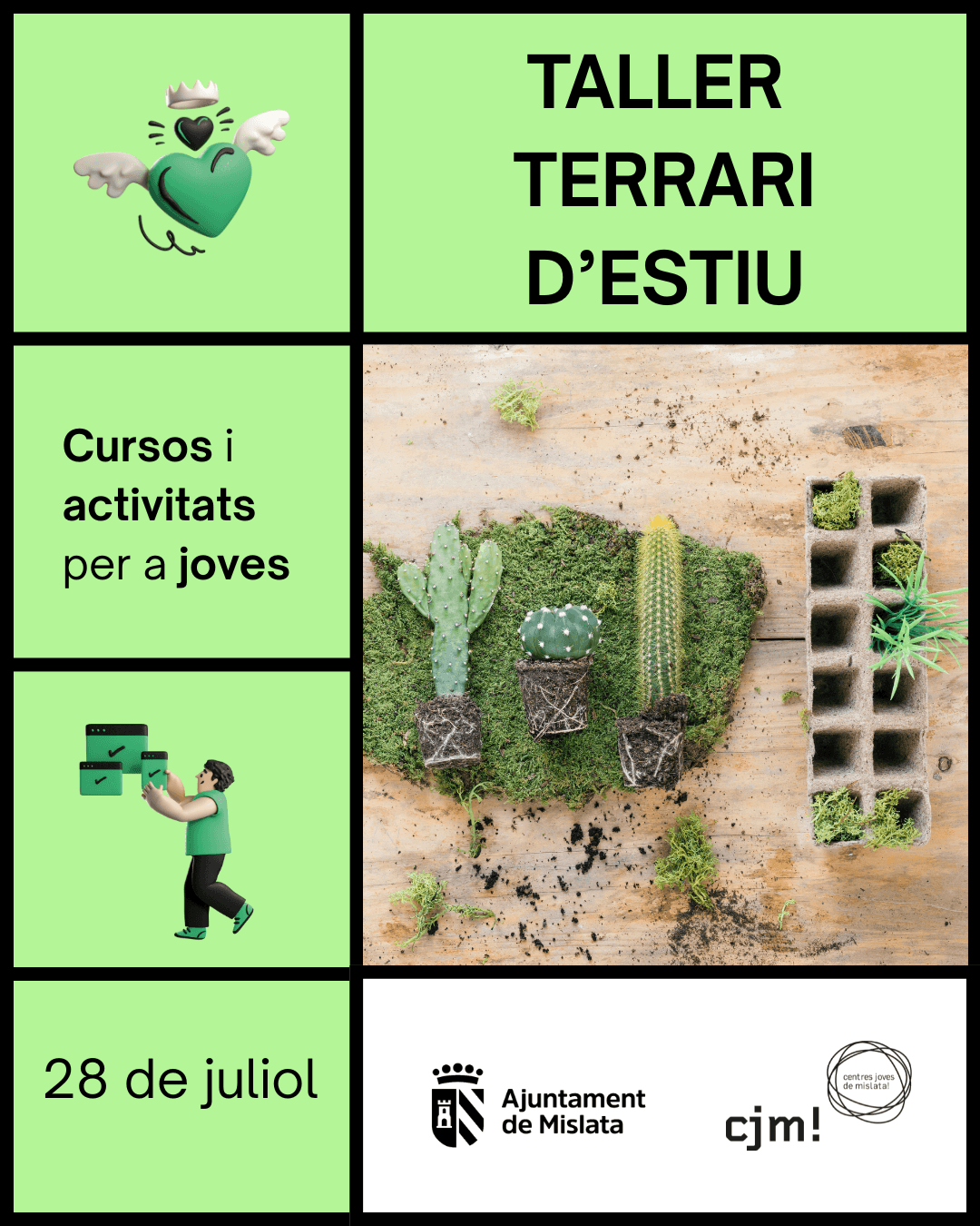 Taller terrari d'estiu