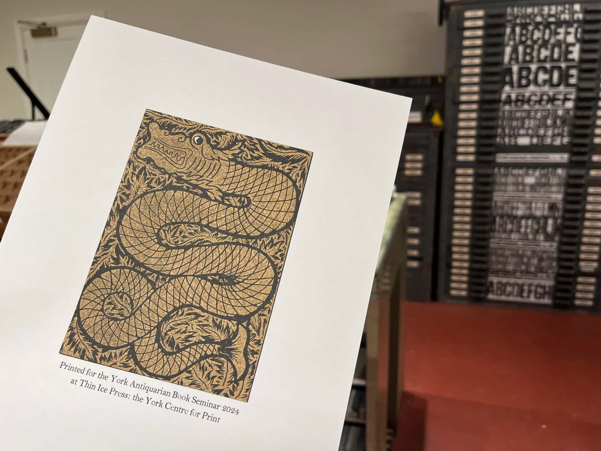 Thin Ice Press: the York Centre for Print
