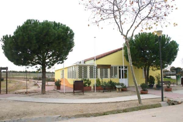 Polinizadores