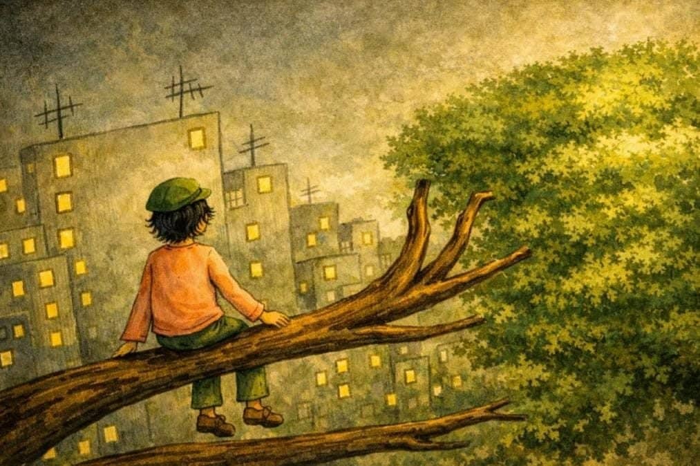 L'arbre generós i l'arquitecte famós
