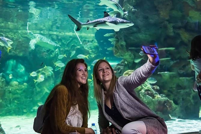 SEA LIFE Brighton