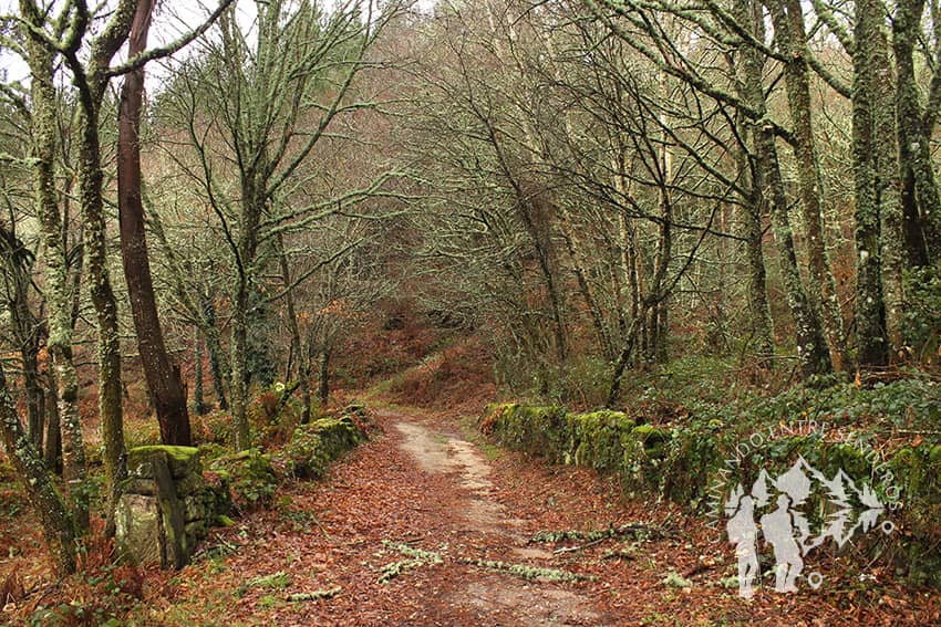 Monte Segade