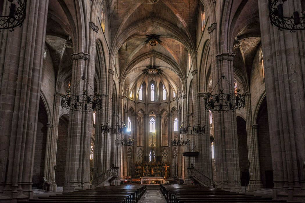 Visita a la part superior de l'Absis de la Catedral