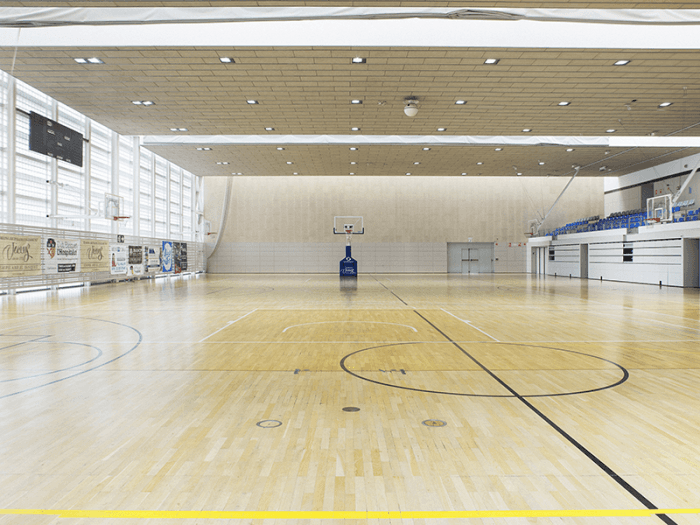 Polideportivo Municipal del Centro Marcel·lí Maneja