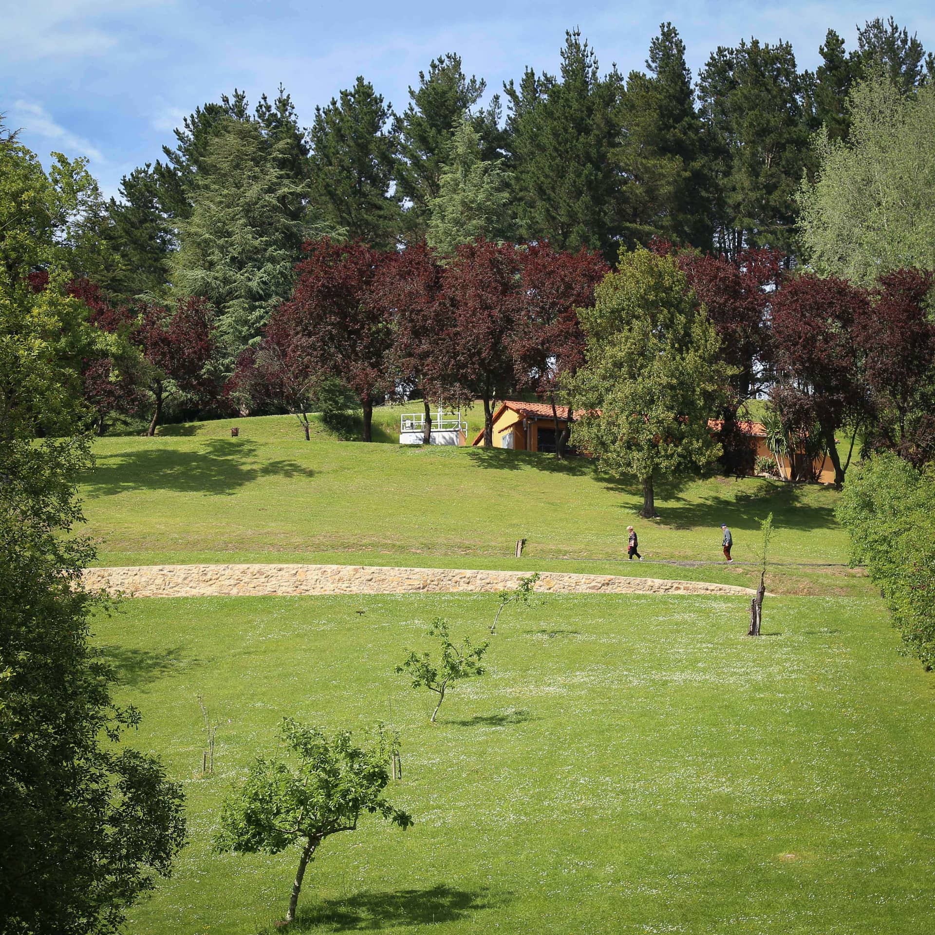 Parque Purificación Tomás