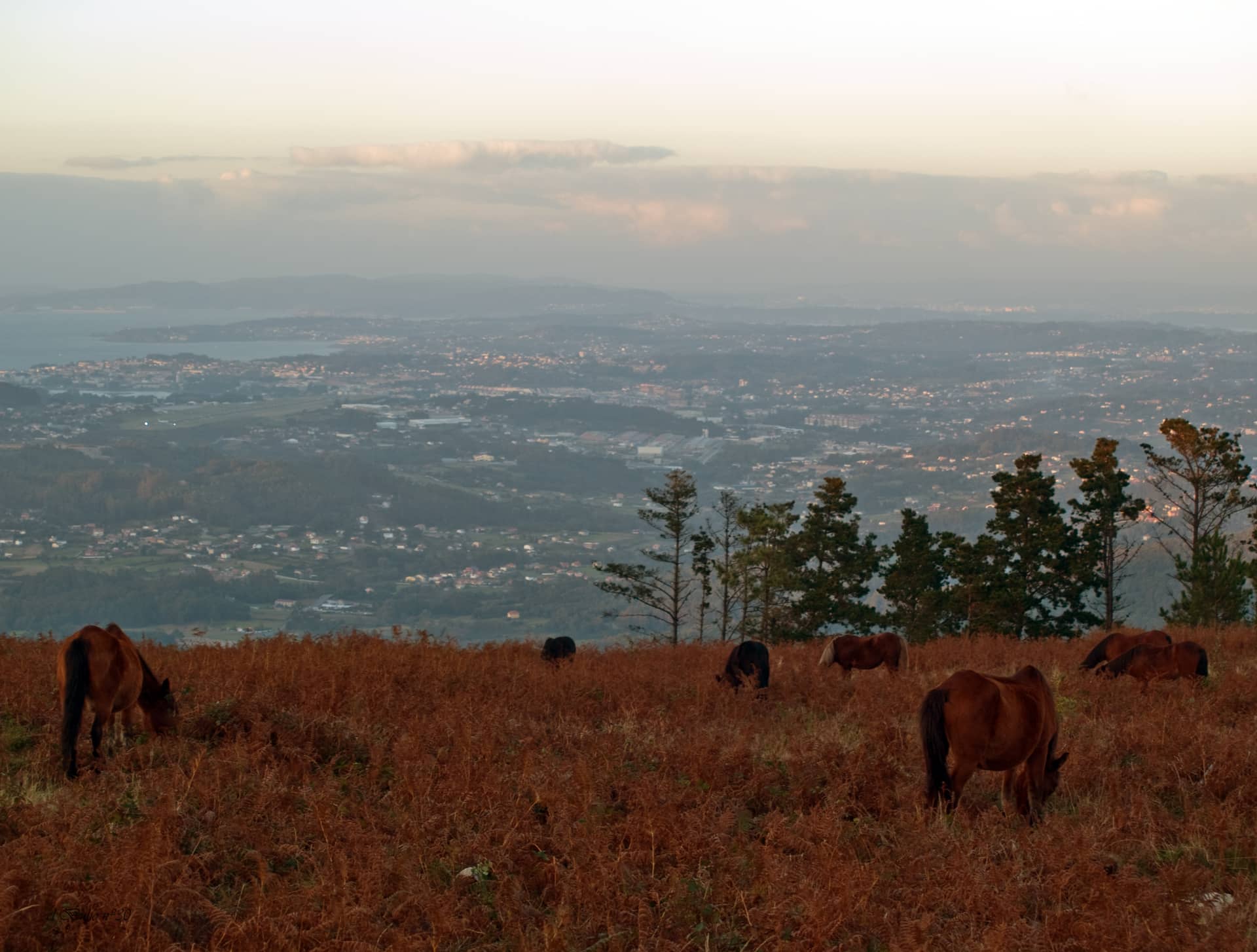 Monte Xalo