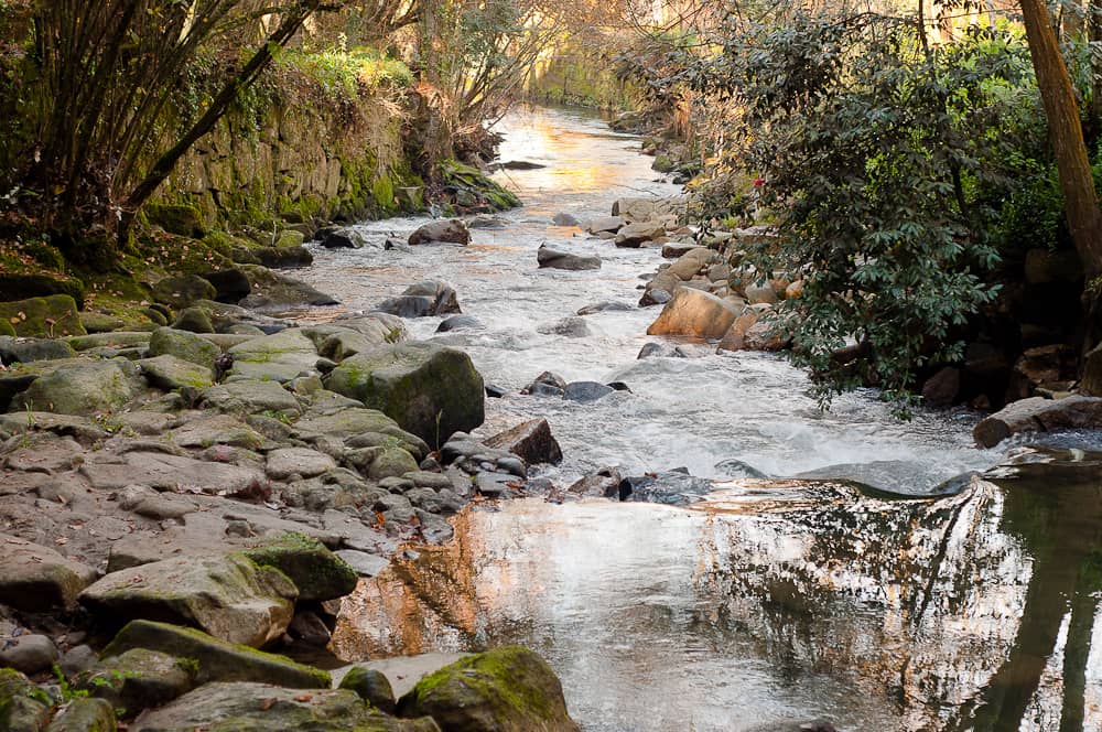Río Lagares