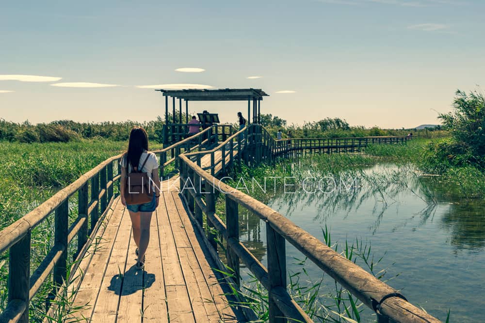 Parque Natural de El Hondo