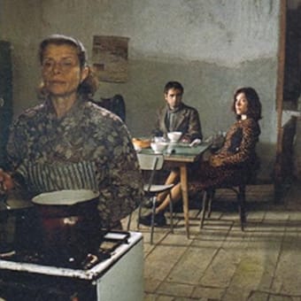 Proyección de cineclub: Furtivos