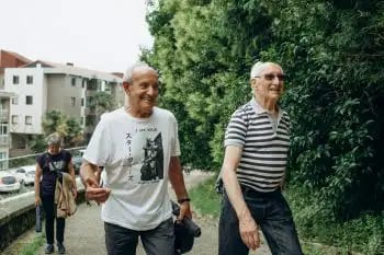 Paseos por Donostia: Intxaurrondo - Ametzagaina