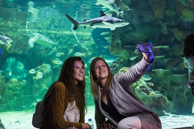 Glass Bottom Boat Experience