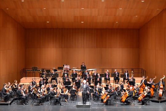 Abono 4 en Pamplona: Idilios - Orquesta Sinfónica de Navarra