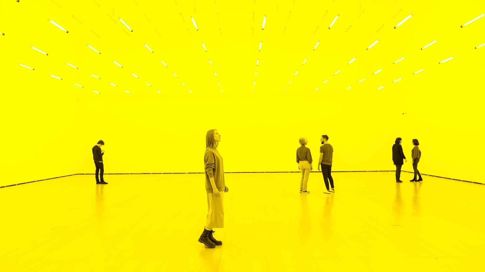Visitas guiadas a la 32ª Bienal de Pontevedra