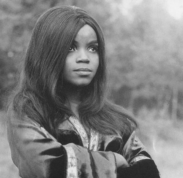 Concierto de P.P. Arnold