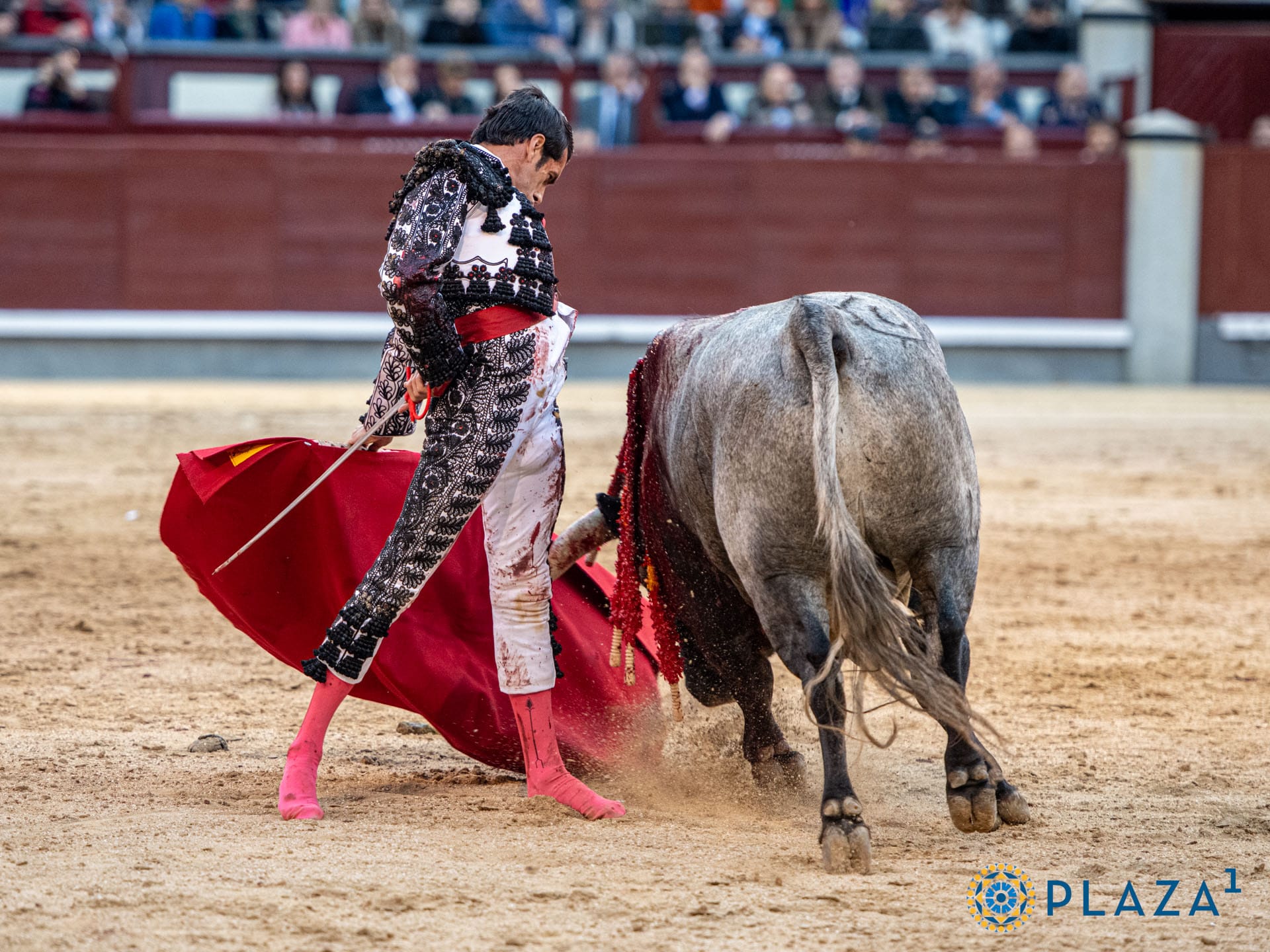 Corrida de Toros de la Feria de A Peregrina