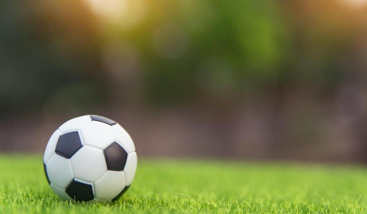 Brighton and Hove Albion vs Leeds United