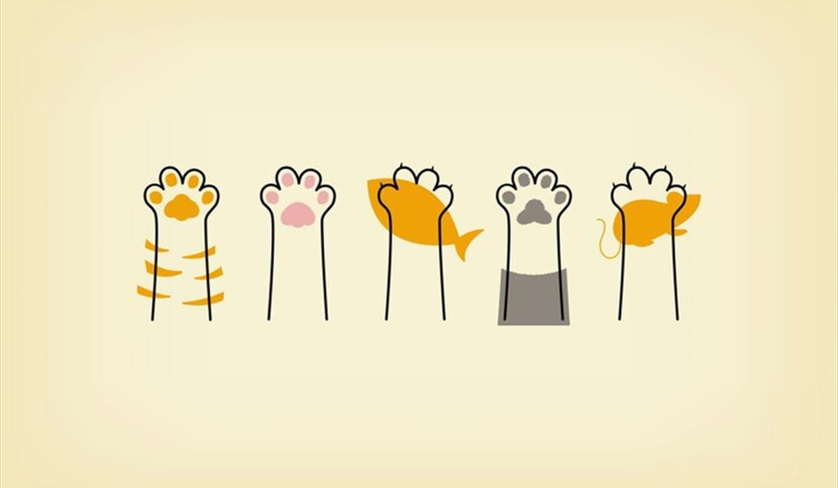 The Psychology Of Cats