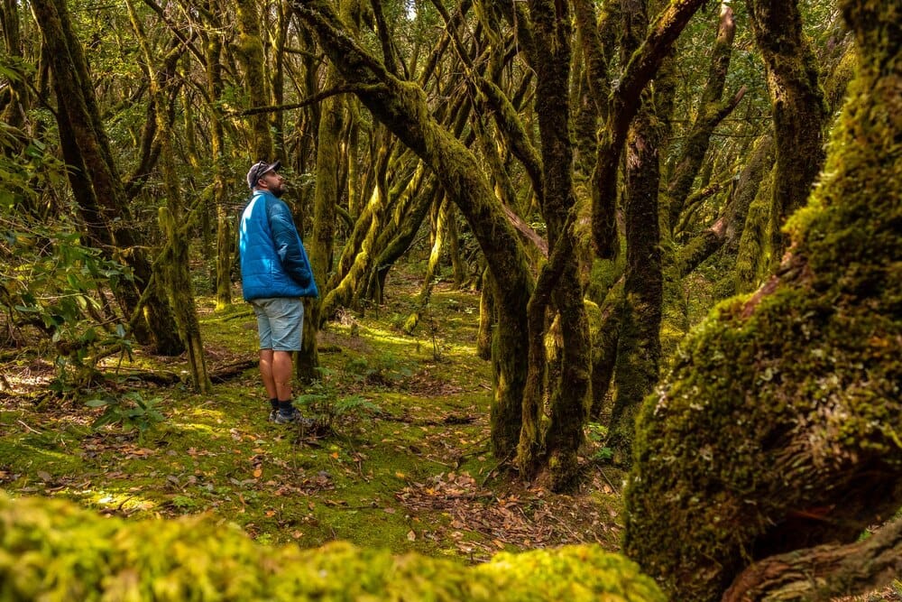 Rutas por los espacios naturales del municipio