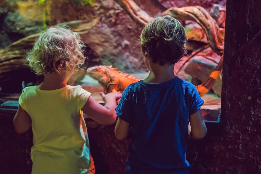 Actividades en VigoNature