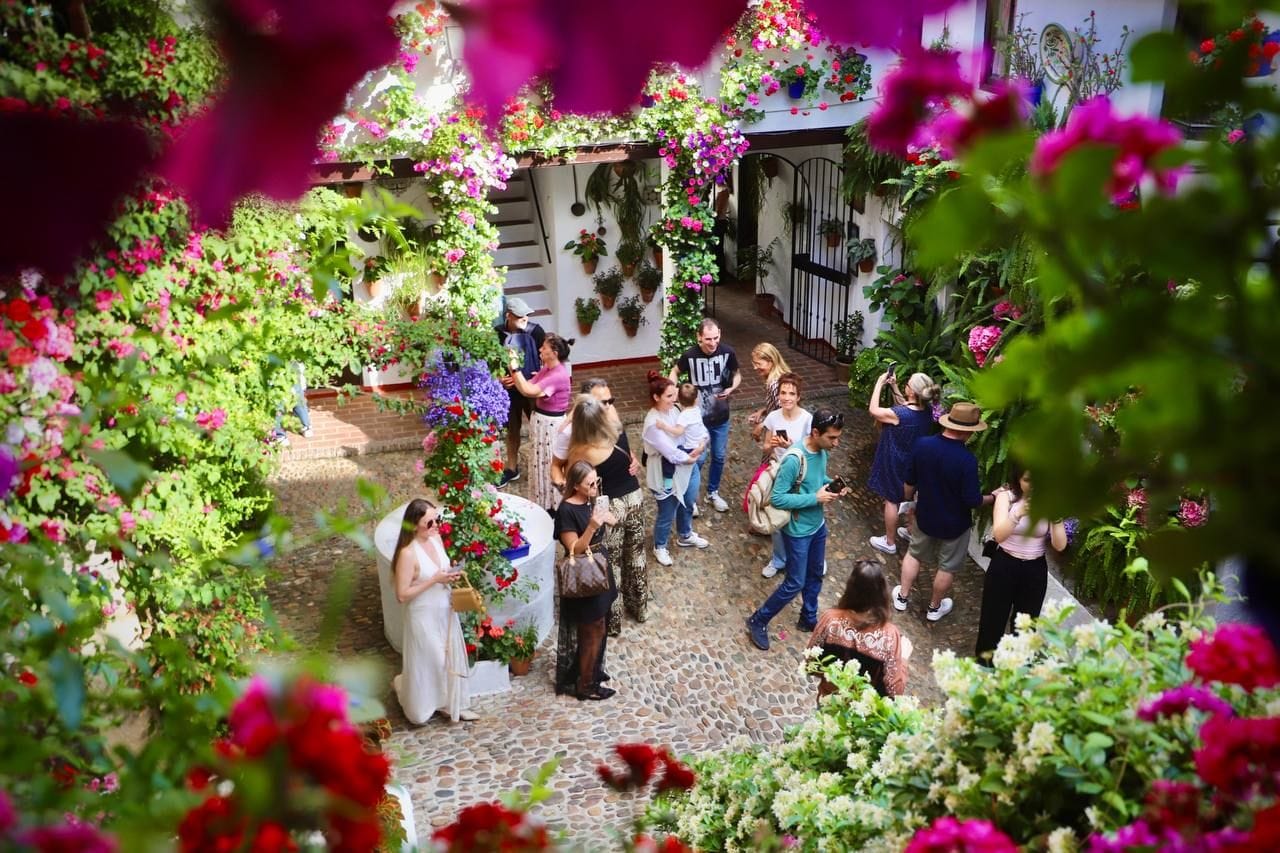 Los ganadores del concurso de Patios de Córdoba 2025, en imágenes