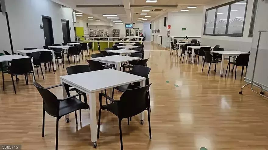 Ikastaro eta tailerrak udan