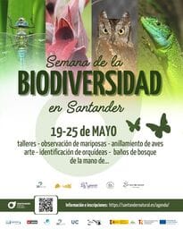 De yincana por Las Llamas