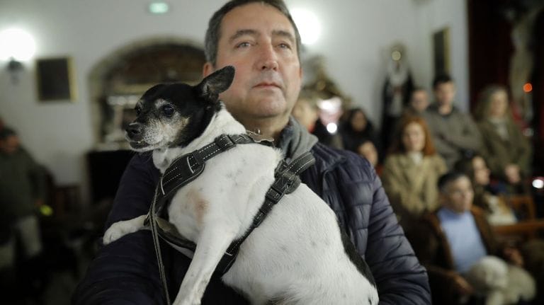 Bendición de las mascotas