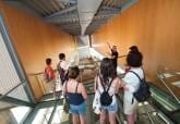 Visita Guiada Muralla Púnica