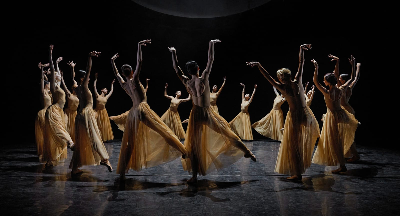 CARMINA BURANA. DANSA