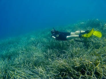 SNORKEL CONSCIENTE
