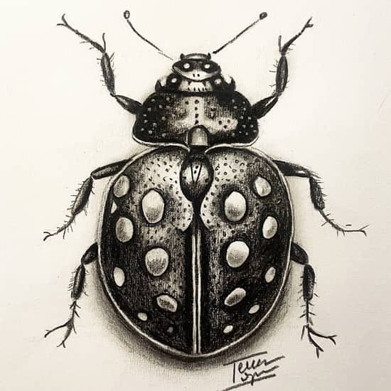 Dibujo hiperrealista