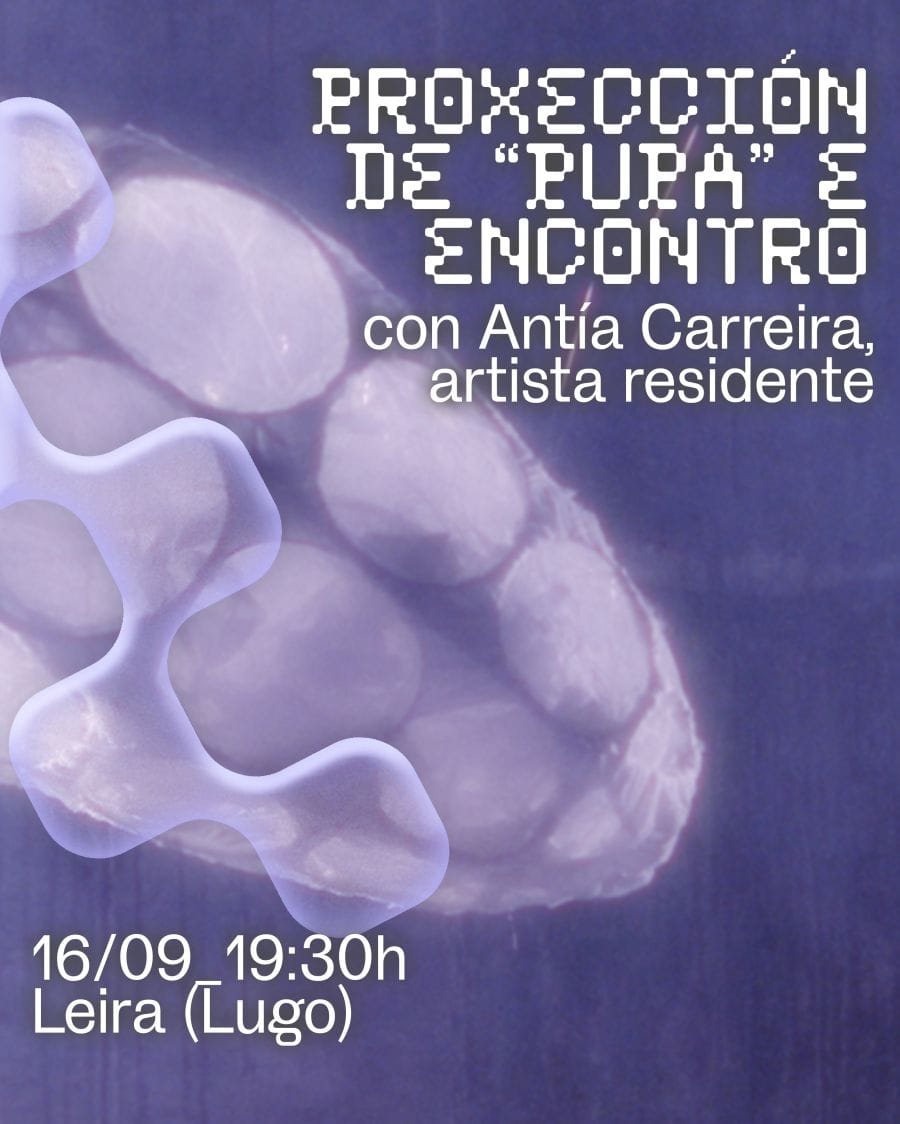 Proxección de PUPA
