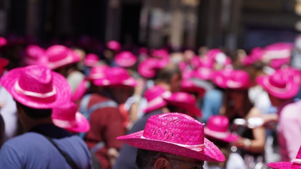 Fiesta del Rosado de Navarra