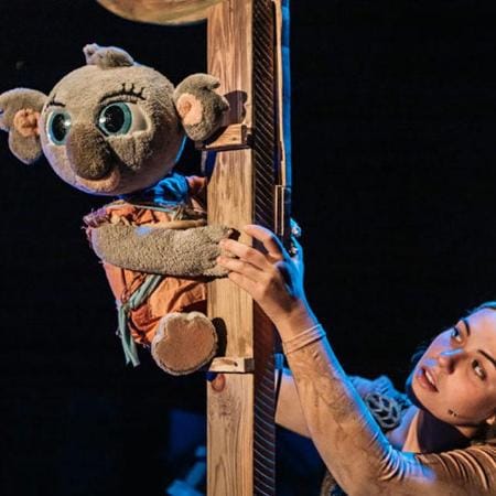 Bunji, la pequeña koala