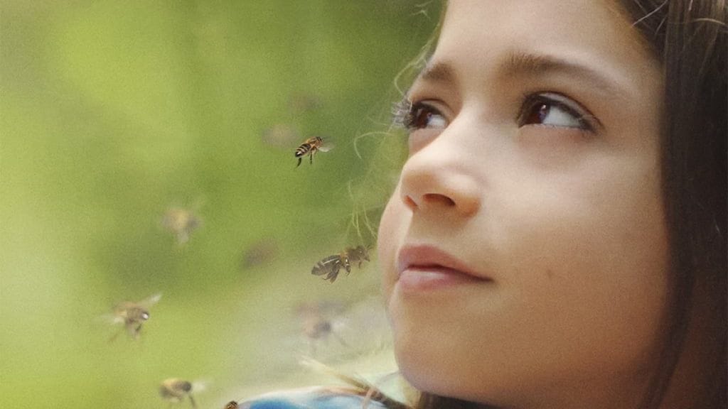 20.000 Especies de Abejas