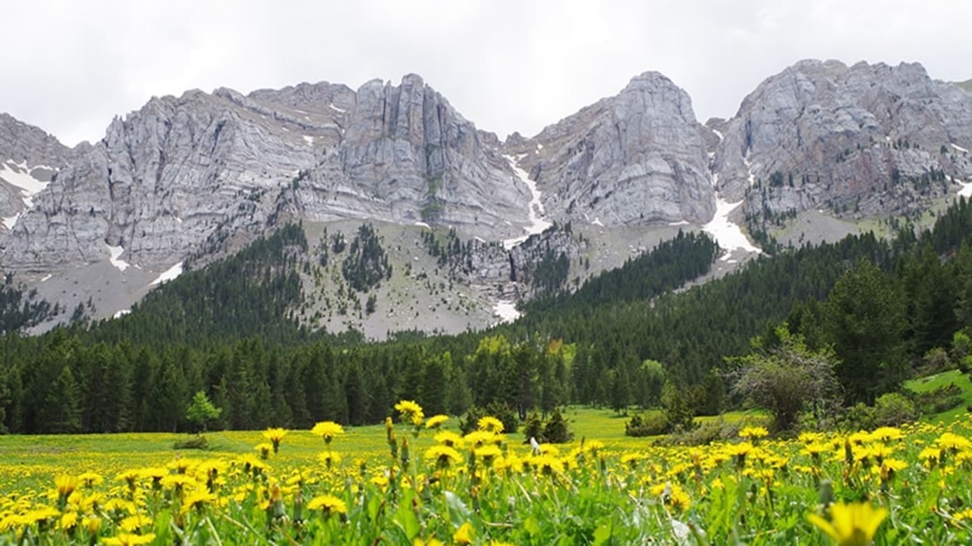 Cap de setmana per gaudir de la natura. Refugi de Queixans. Trinxeres de Martinet, Prat del Cadí