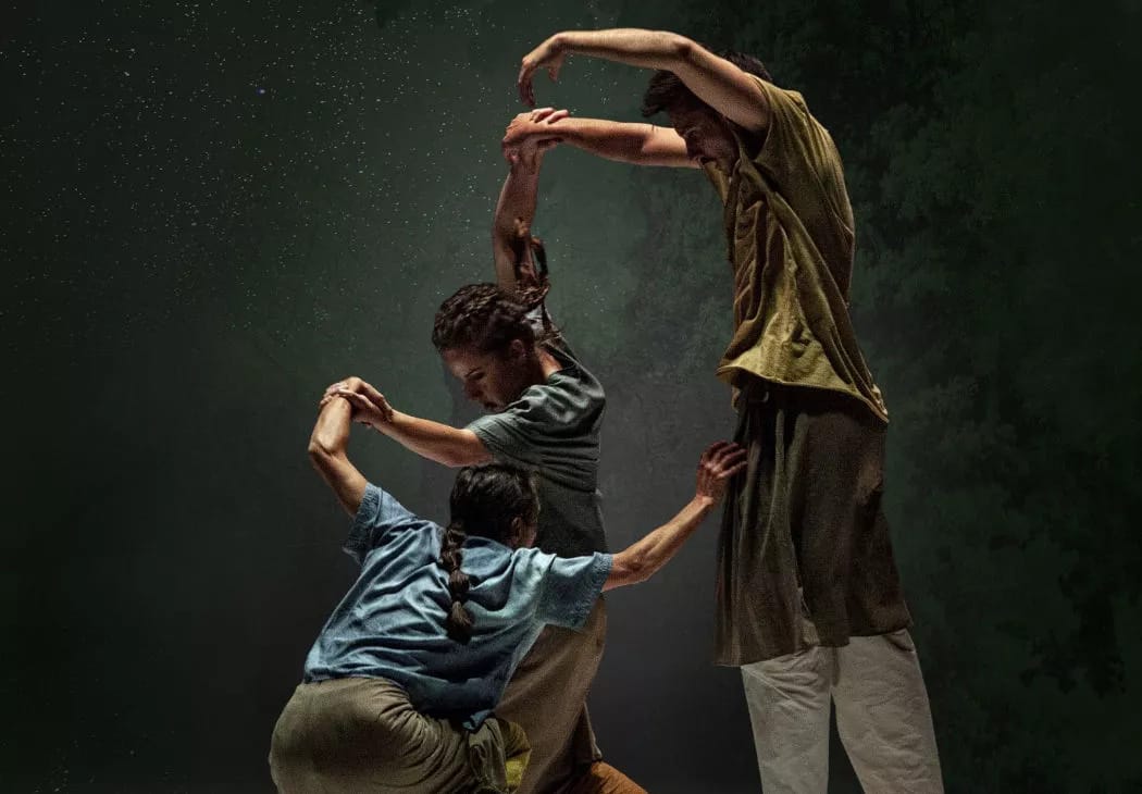 'El bosque', de Marcat Dance