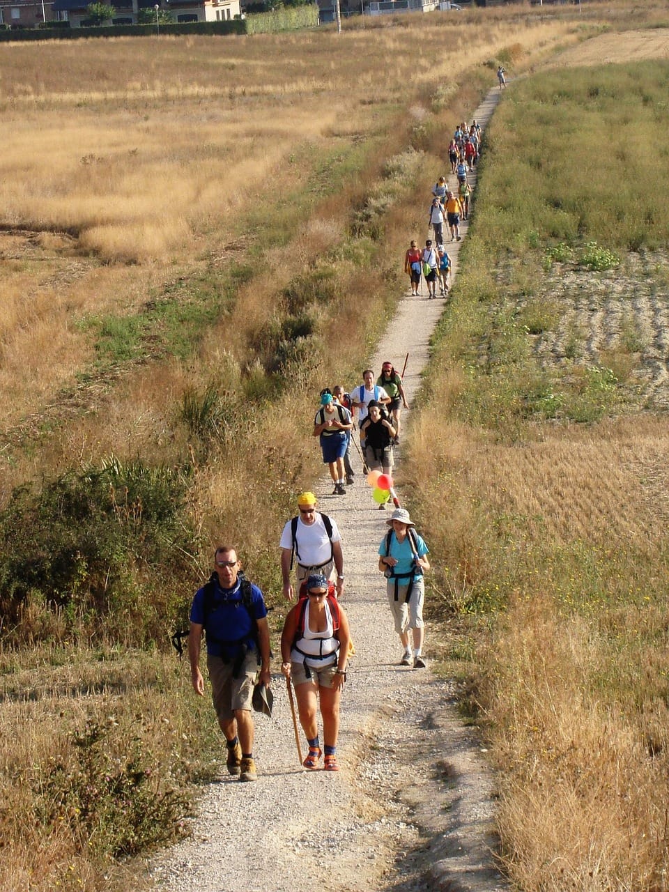 Mesa de Debate: La Compostela y los Caminos del siglo XXI: ¿Democratización del Camino a gusto de todos?