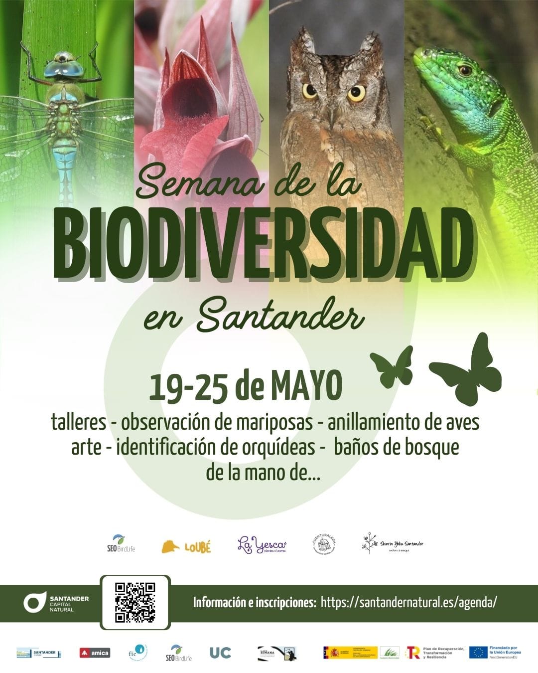 Observación de orquídeas silvestres en la UC