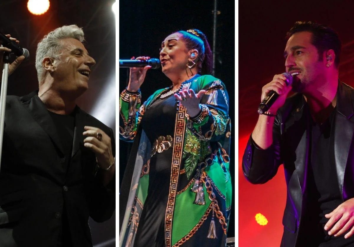 Celebración del Día Internacional del Flamenco