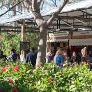 35ª Mostra Proava