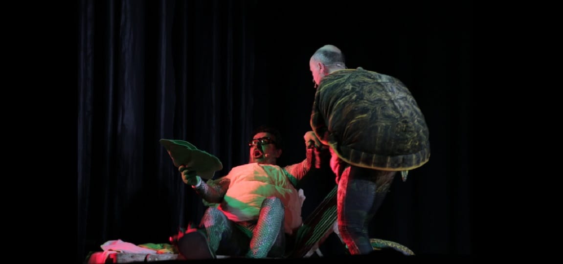 Tortugas - Una aventura inesperada