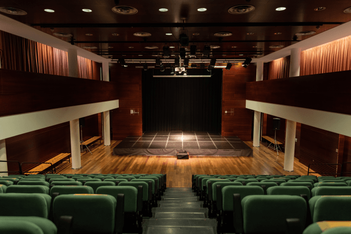 Taller d'Iniciació d'Acrobàcia i dansa aèria