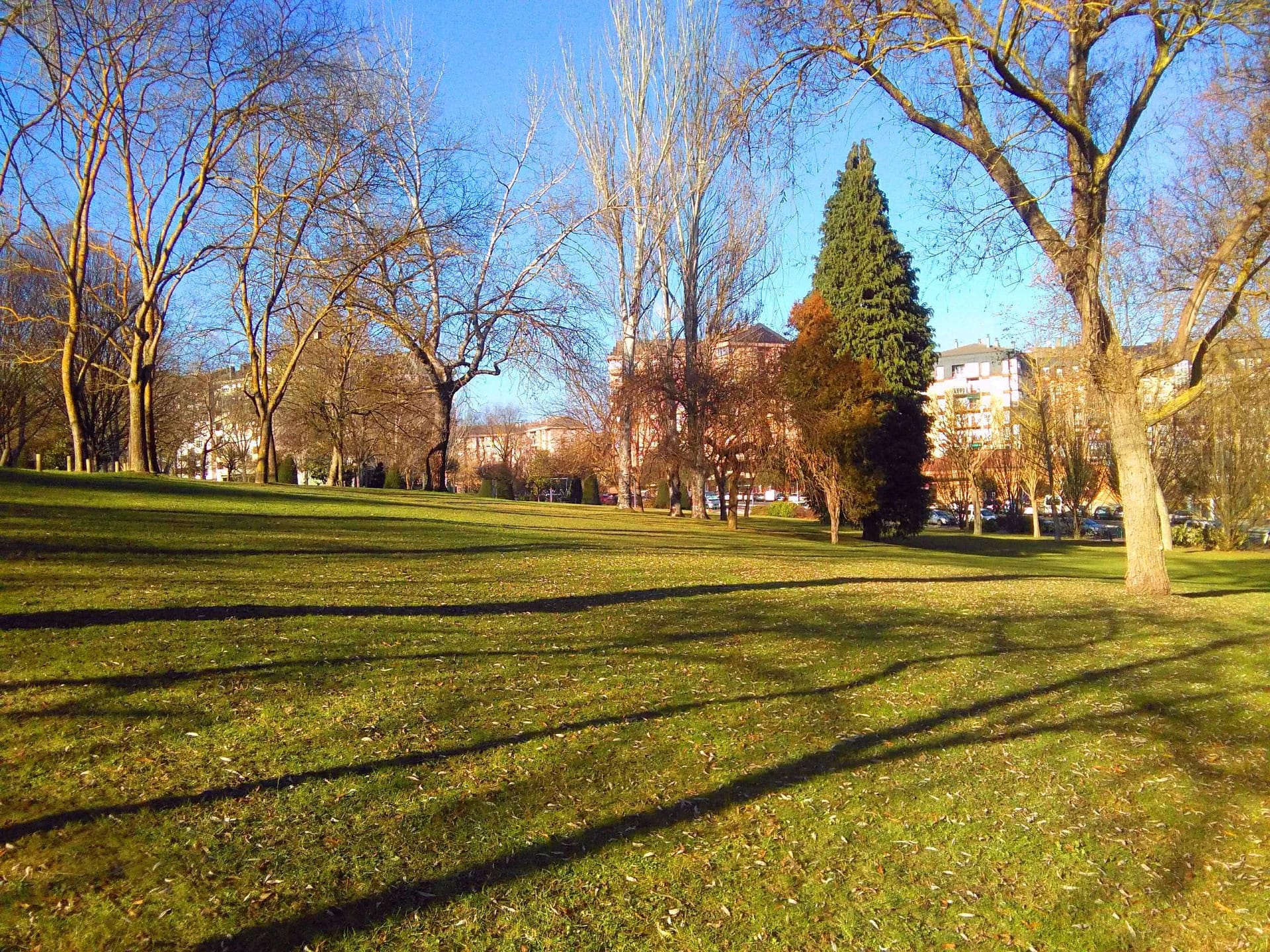 Mahaikideak