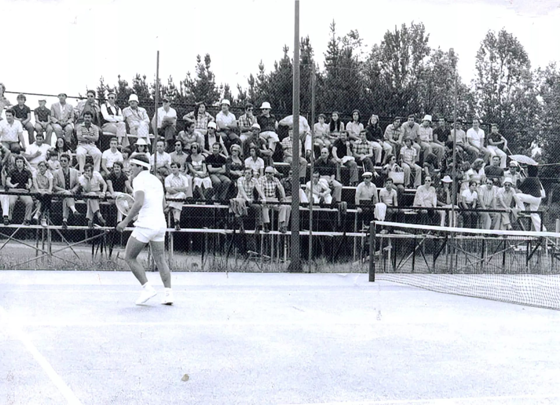 Copa Diputación de tenis y pickleball