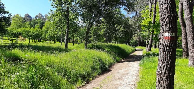 Voluntariado ecológico: Limpiar paseando en el Parque Forestal de Cabral