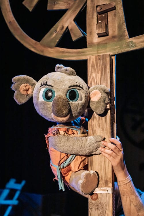 Bunji, la pequeña Koala